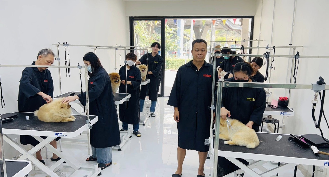 โรงเรียนสอนตัดขนสุนัข
